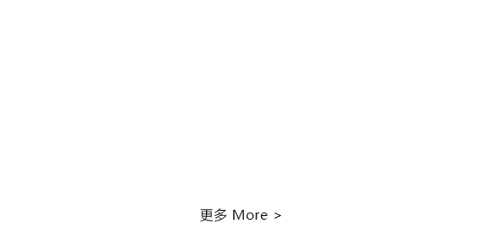 廣東廣菱電梯有限公司